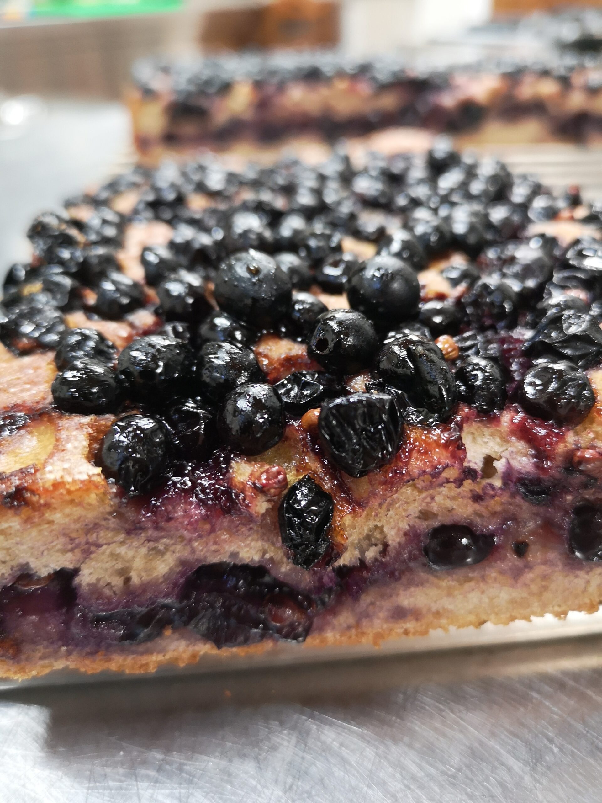 focaccia con uva nera canaiolo e farina di farro